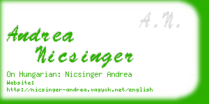 andrea nicsinger business card